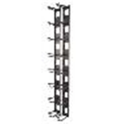 APC Cable Management Rack AR8442 for $308.00